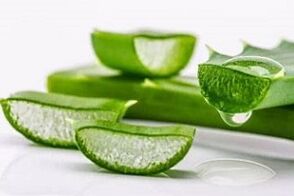 aloe para el tratamiento de la prostatitis